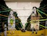 garage_doors_graffiti_09