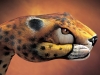 ghepardo
