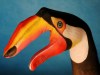 tucano