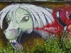 horse-graffiti1