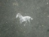 horse-street-art1