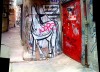 horse-street-art13