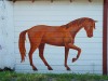 horse-street-art2
