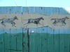 horse-street-art25