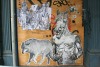 horse-street-art8