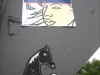 street-horse11