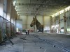 street-horse13