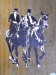 street-horse7