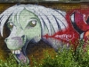 horse-graffiti1