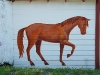 horse-street-art2