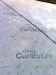 curator.ro