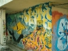 Ster, Blue, Shao
