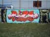 IMAG0011