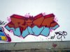 Rizo16