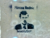 Mircea Rednic