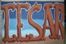 cesar269