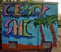 cesar290