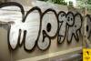 W4G-RO-2007-THROW (1)