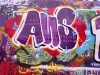 ANS - CRew