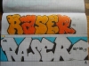 Raser
