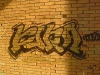 dsc00528
