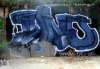nev_01