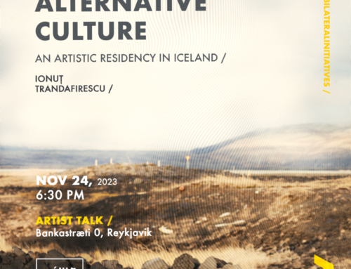 Alternative Culture, o rezidenta artistica in Islanda